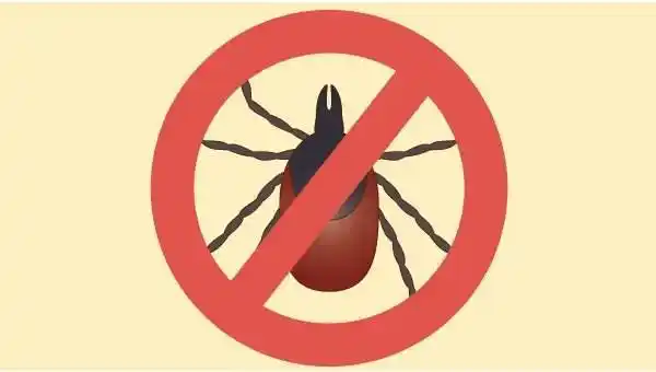 一,消灭牛羊体表的蜱虫蜱的幼虫,若虫,雌雄成虫都吸血.