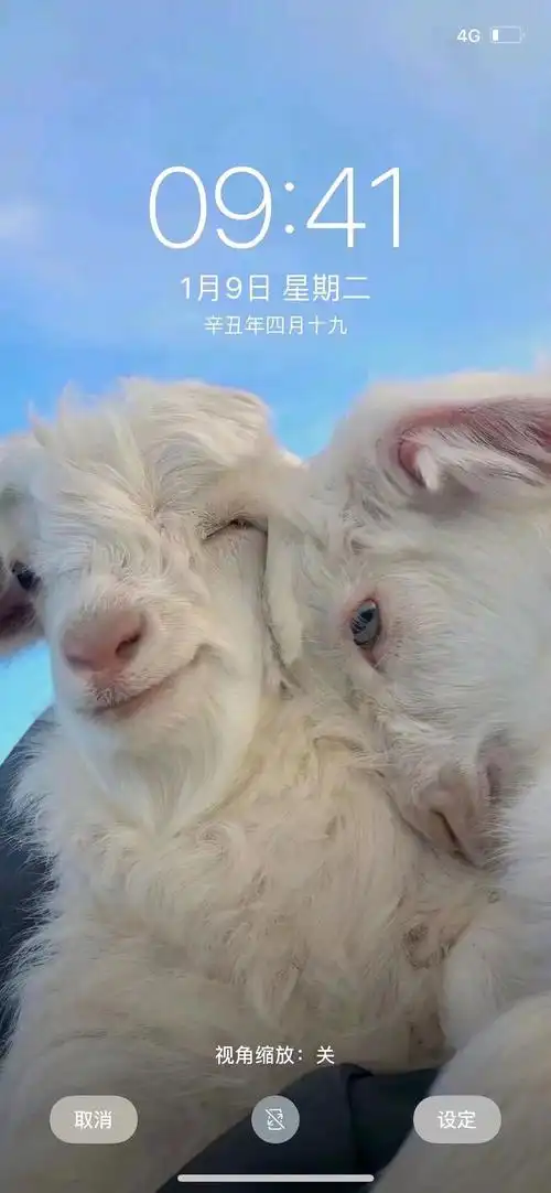 求这个锁屏壁纸(已有)