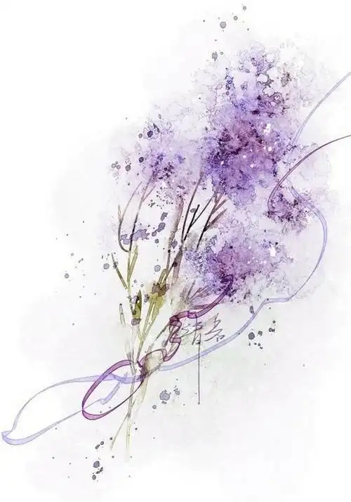 薰衣草 - 堆糖,美图壁纸兴趣社区