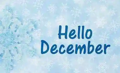 dec是英文december的缩写,代表的是十二月,生辰石为锆石,绿松石,青金