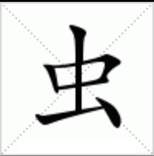 虫字旁"虫"写法同独体字"虫"差不多,只是字形变窄,提起笔偏左且稍斜