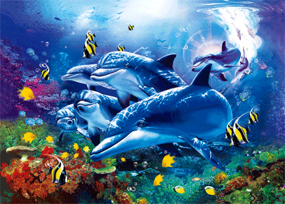 探索不一样的海洋世界让你和宝贝一展身手!一起"瓶"添乐趣啦!装满