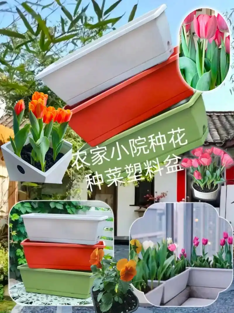 楼顶种菜专用箱阳台户外庭院特大号长方形塑