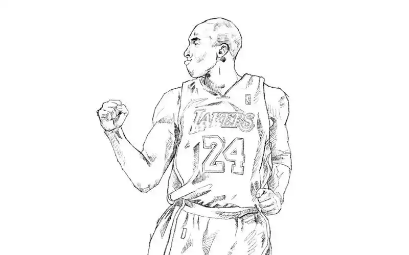 procreat科比手绘