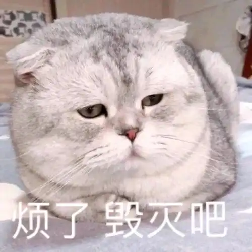 烦了毁灭吧(猫咪表情包)_毁灭_猫咪表情