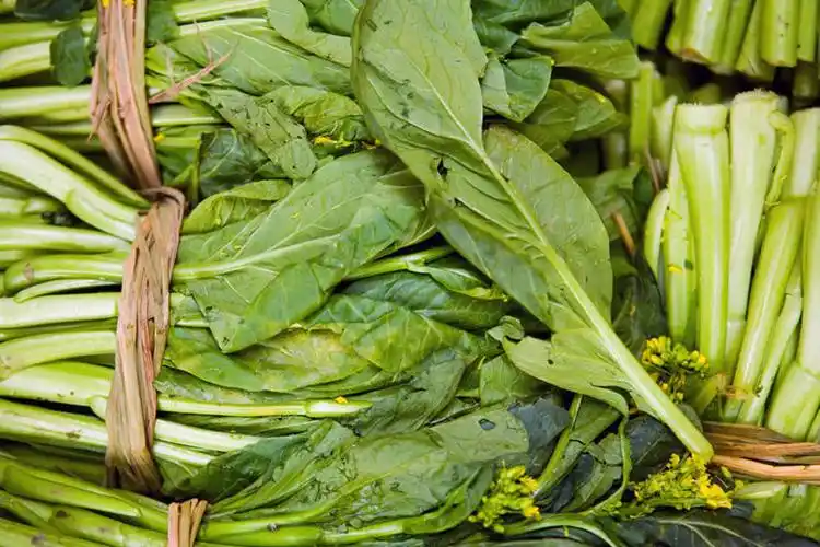 室内,特写,白天,购物,消费,蔬菜,叶子,一堆,许多,堆叠,堆积,新鲜,青菜