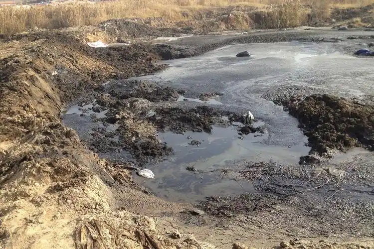 如何有效解决石油土壤重金属污染问题?