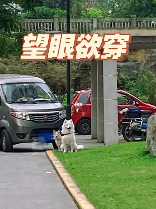 有种望眼欲穿叫做妈妈什么时候做完核酸