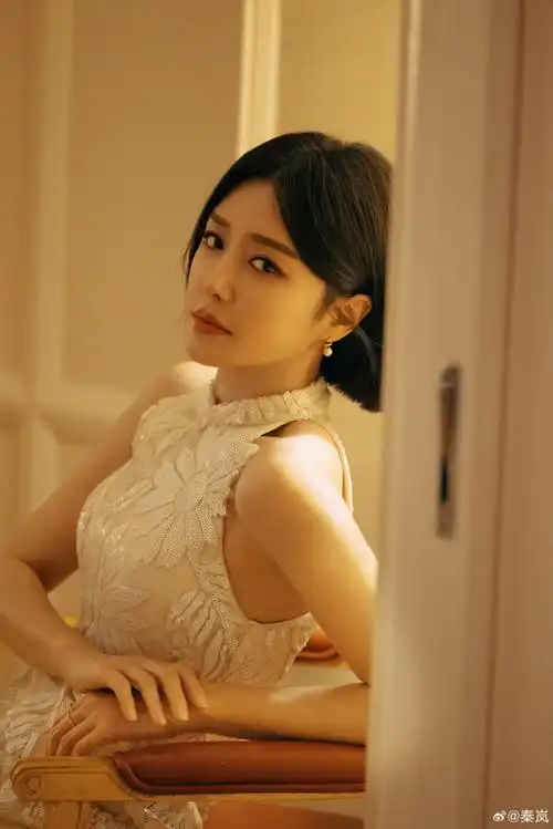 秦岚龙年开工照