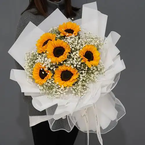 6枝向日葵间插白色满天星韩式花束