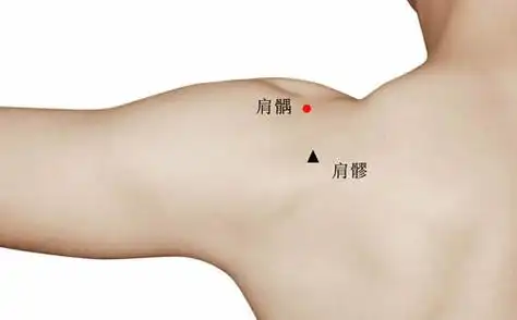 肩髃的准确位置图怎么定位及作用