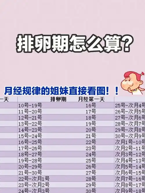 排卵期怎么算?抓住受孕时机!拒绝无效备孕