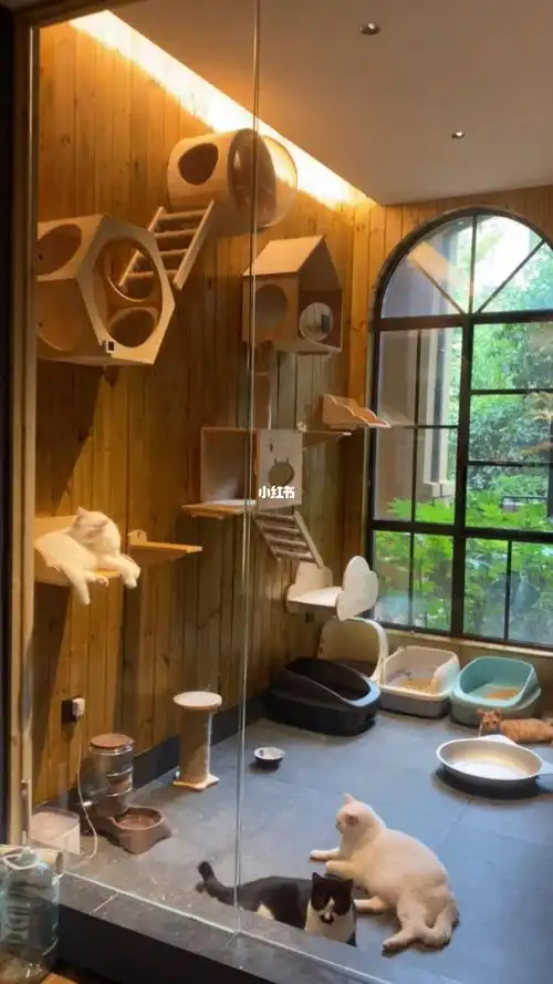 幸福感十足的猫房设计猫奴必收