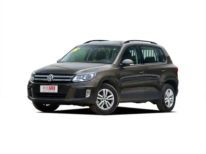 2016款 途观 车身颜色 峻岭棕