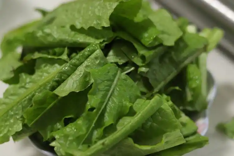 蒜蓉油麦菜,蒜蓉油麦菜的家常做法 - 美食杰蒜蓉油麦菜做法大全