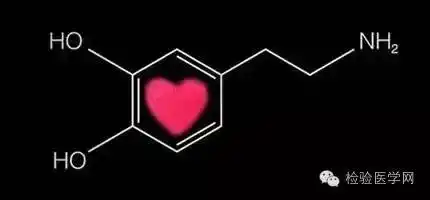 爱的信号—多巴胺(dopamine)