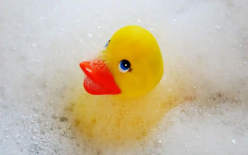 小黄鸭可爱创意玩具图片桌面壁纸