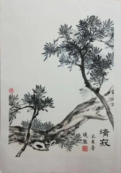 李晓黎          罗汉松