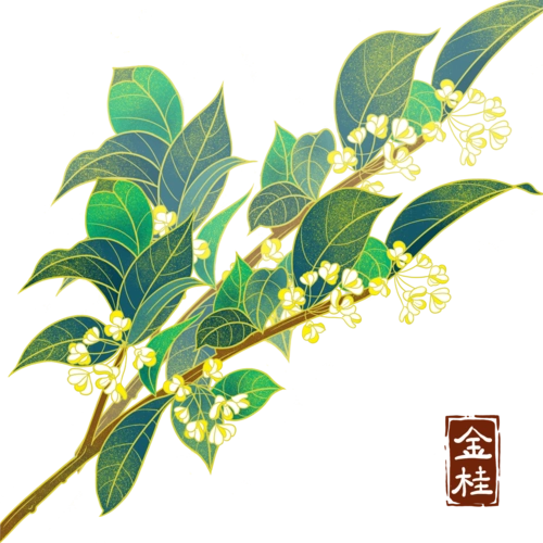 桂花手绘图片大全