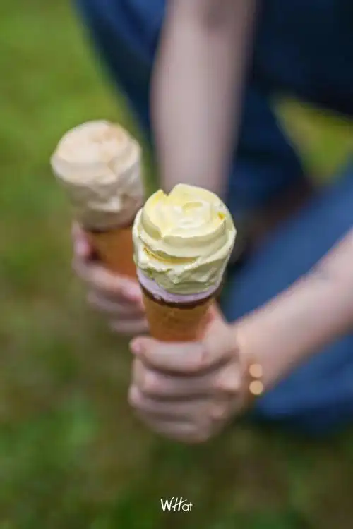 治愈夏日焦虑的第一步,从吃冰淇淋开始