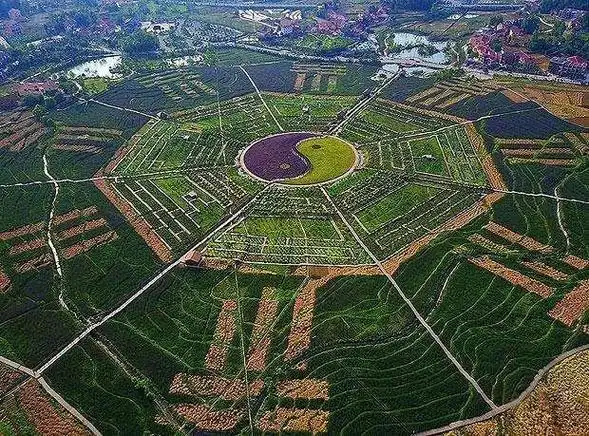 带你解密为什么为什么诸葛亮的八卦阵"走进去就出不来了"!