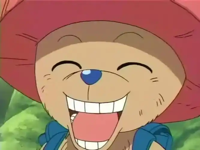 海贼王,海贼王,op,乔巴