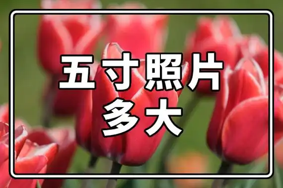 五寸照片多大?5寸照片尺寸大小分享