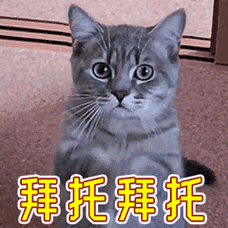 求助_qq表情包免费下载 - 绘艺素材网