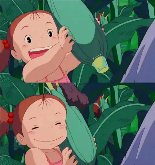 宫崎骏 龙猫 壁纸小梅