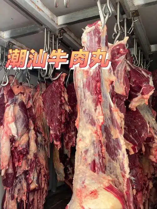 潮汕牛肉丸