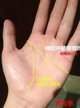 这位福主的明堂出现一个又大又端正的三角形,此乃手相学上的三角纹