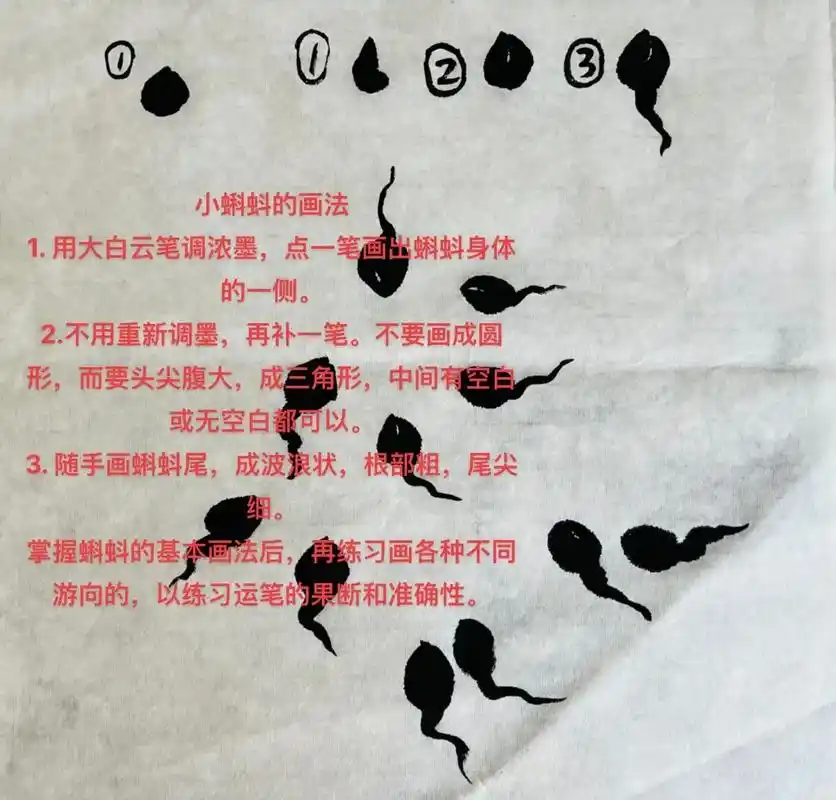 国画入门教程 小蝌蚪慈菇的画法.#传承文化 #图文伙伴计划  - 抖音