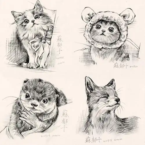 速写过程小动物