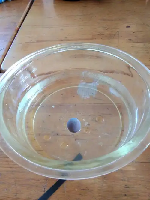 寇家幼儿园大班科学小实验