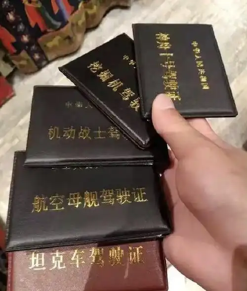 不就是比驾驶证吗?谁有我的多!