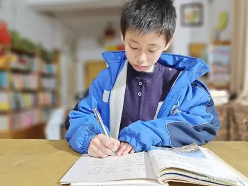 煦程认真写作业.