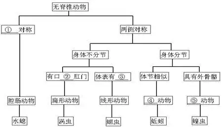它们是动物的原始形式,动物界中除脊椎动物亚门以外全部门类的通称.
