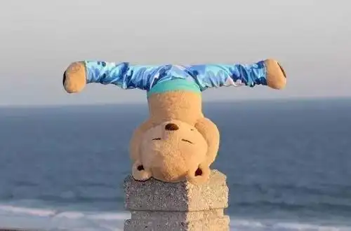 全球的瑜伽网红都在用它凹造型,这只瑜伽熊到底什么来头?