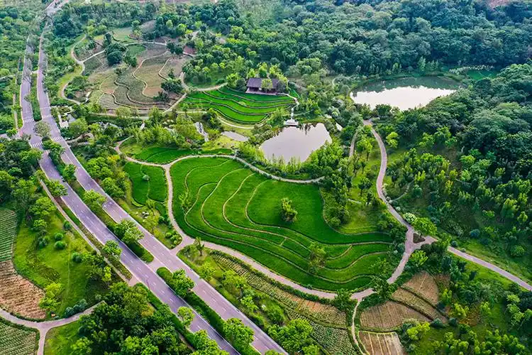 这是6月20日拍摄的重庆广阳岛景象(无人机照片).