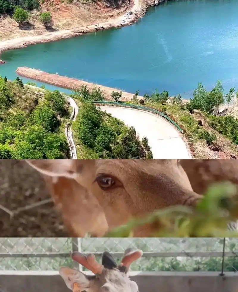 河南洛阳黄鹿山绿岛生态园#心动五一  - 抖音