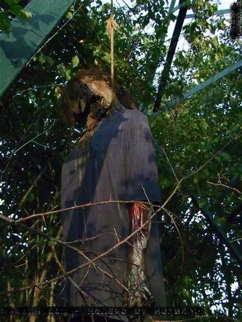 上吊死亡全过程图片2022已更新今日资讯