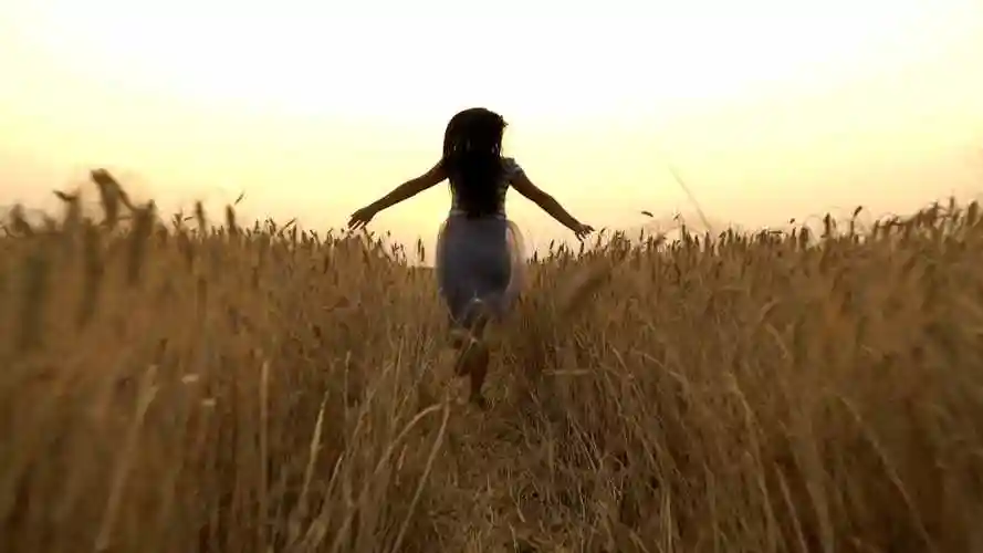 美女田野美女奔跑美女剪影黄昏夕阳户外视频素材