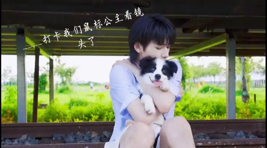 轩轩和我们的鼠标公主