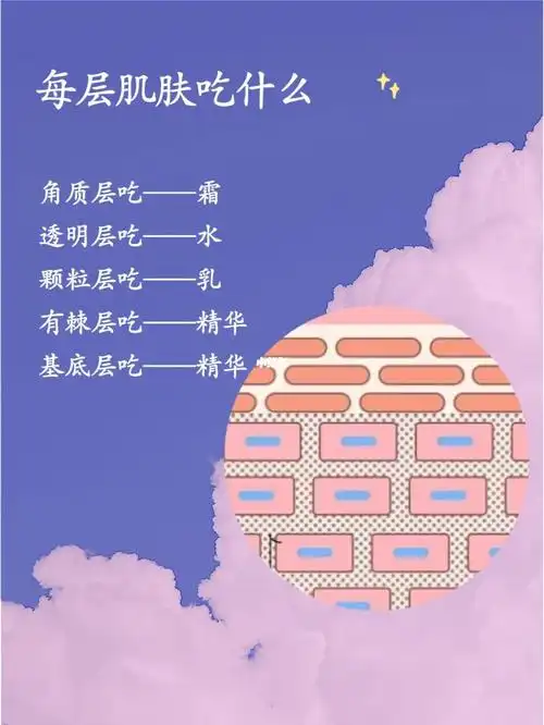 表皮层又细分为5层:角质层,透明层,颗粒层,有棘层和基底层;99针对不