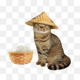 下载收藏 手执斗笠身着汉服的古风白衣美女 658*1053 2 12 下载收藏