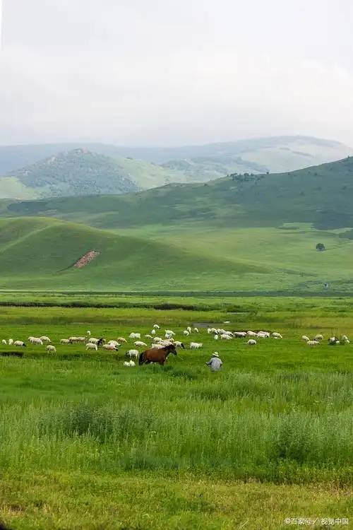 探寻内蒙古大草原之美——深度游攻略