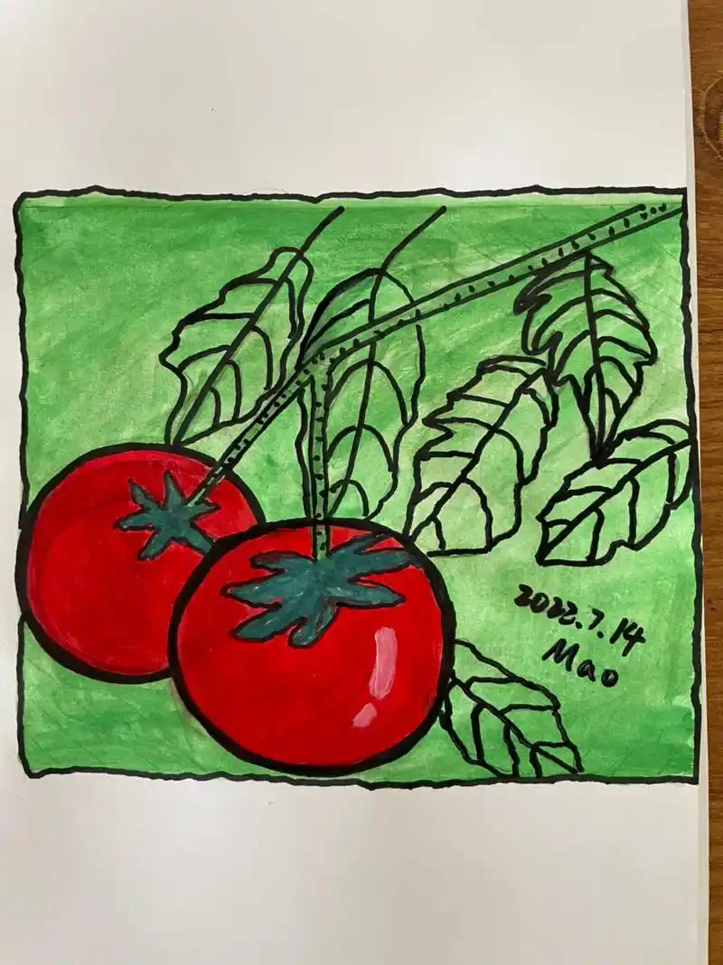 画画 #幼教人 #暑假 #番茄 #绘画过程  美味的番茄  - 抖音