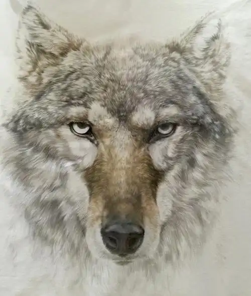 狼|国画|纯艺术|jx187098989 - 原创设计作品 - 站酷 (zcool)