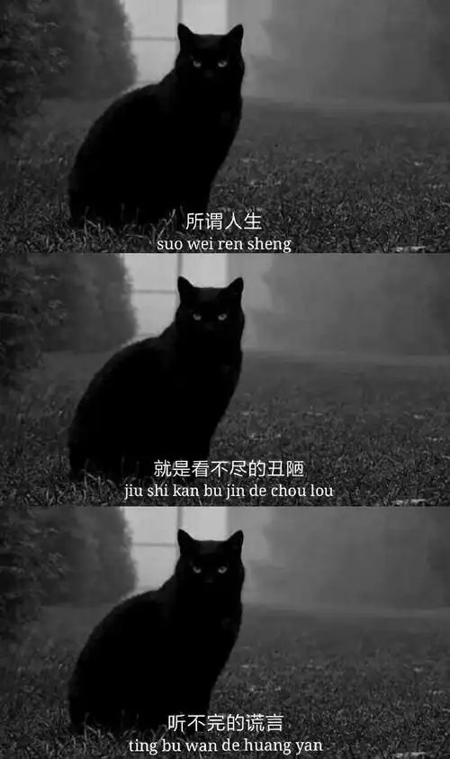 黑白拼接壁纸#丧图# 来自折姻 - 微博