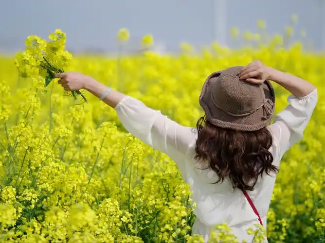 一. 油菜花田